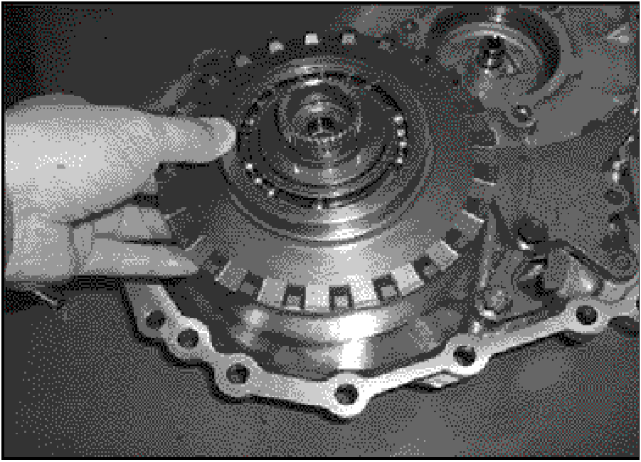 520065657_graphic-text245